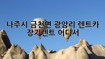 나주시 금천면 광암리 렌트카 장기렌트, 어디서?