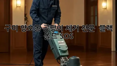 구미 양호동 곰팡이 제거 전문 💯 블랙 몰드 SOS 🚨