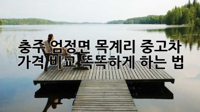 충주 엄정면 목계리 중고차 🚗 가격 비교, 똑똑하게 하는 법!